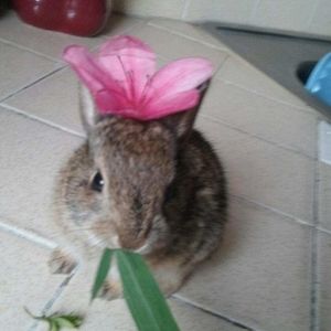 Meet your Posher, Jade